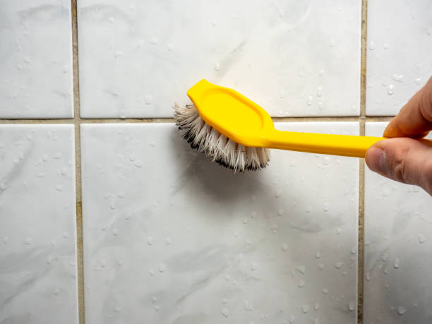 Best Certified Mold Removal  in Divernon, IL